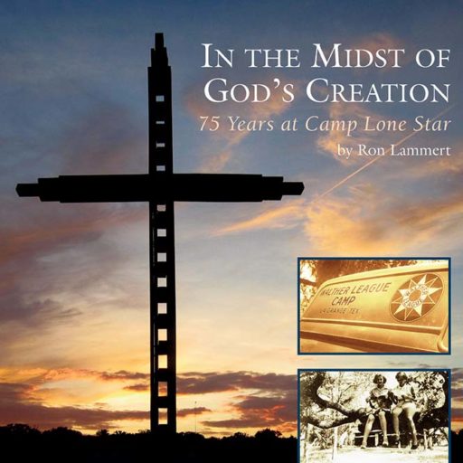 Book Cover: In the Midst of Gods Creation